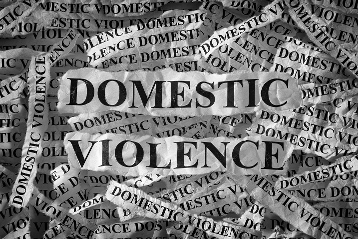 term paper domestic violence term paper domestic violence